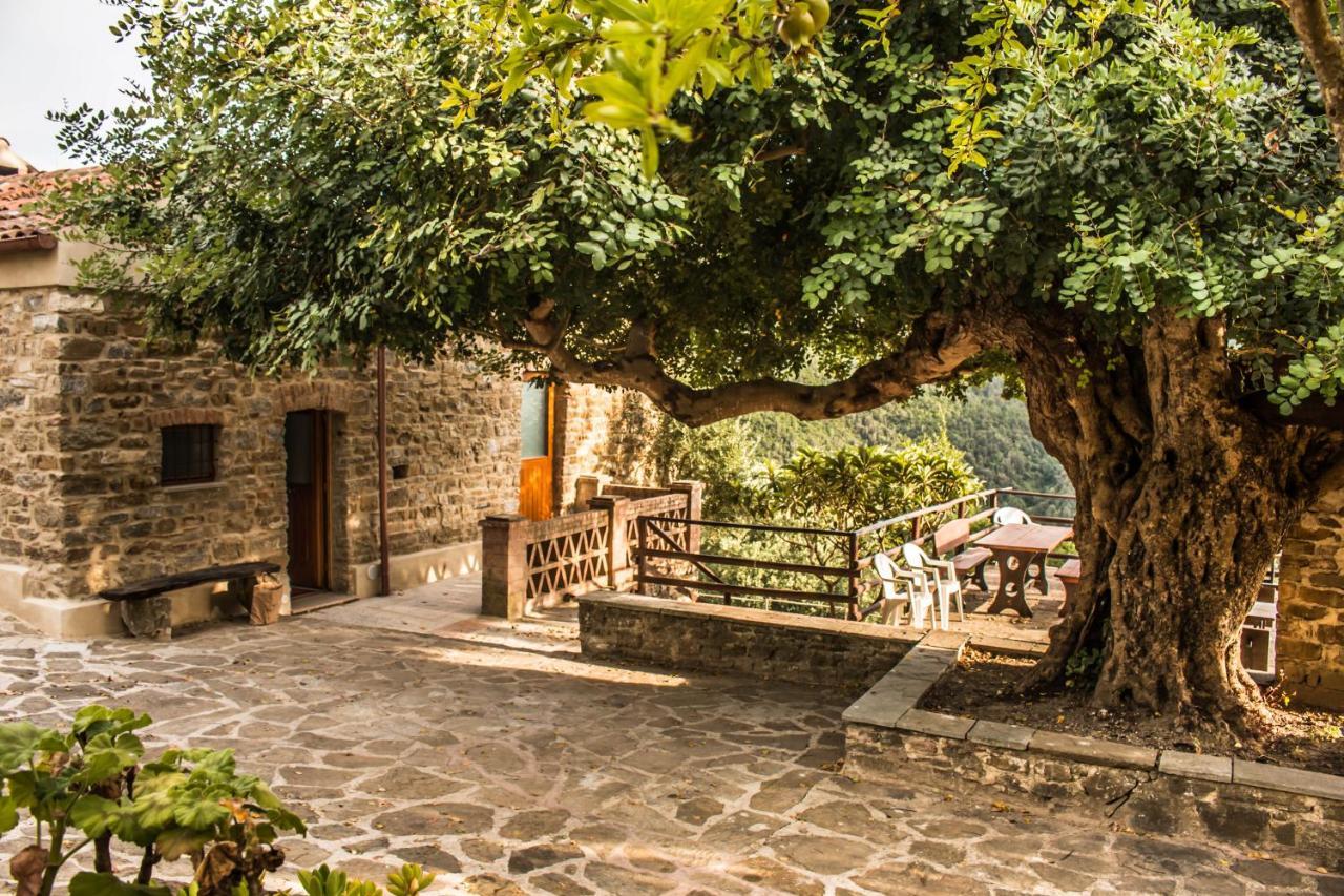Bed and Breakfast Casale I Cirillo Rutino Zewnętrze zdjęcie