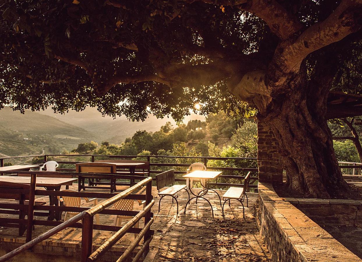Bed and Breakfast Casale I Cirillo Rutino Zewnętrze zdjęcie