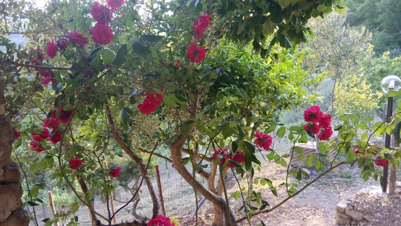 Bed and Breakfast Casale I Cirillo Rutino Zewnętrze zdjęcie